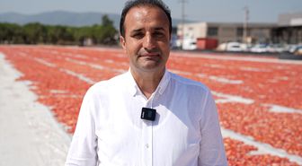 Türkiye ilk yarıda kurutulmuş domatesten 60 milyon 989 bin dolar kazandı