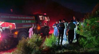Kozan'da orman yangını 5 saatte söndürüldü