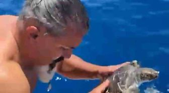 Alanya'da çuvala dolanan caretta caretta kurtarıldı