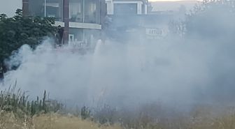 Erdemli'de boş arazide çıkan yangın bahçeye sıçramadan söndürüldü