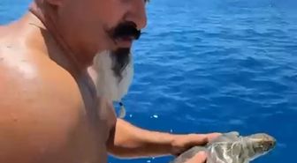 Alanya'da Çuvala Dolanan Deniz Kaplumbağası Kurtarıldı