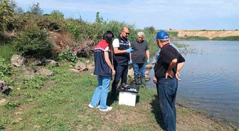 Korucu köyü göletinde balık ölümleri inceleniyor