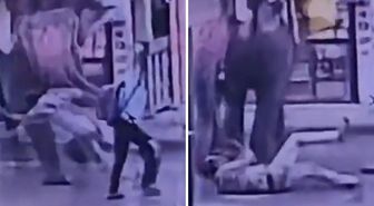 Elinden şeker yemişti! Fil Kendisine tatlı veren işçiyi ezerek öldürdü