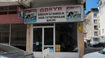 Giresun Süt Üreticileri Birliği'nde skandal: Eski yöneticilere suç duyurusu, son kullanma tarihi geçmiş ilaç ele geçirildi