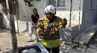 Hatay’da yerleşim yerlerinde görülen yılanlar itfaiye tarafından doğaya bırakıldı