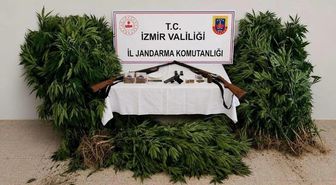 Ödemiş’te Ormanda Kenevir Operasyonu: Şüpheli Tutuklandı