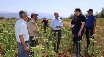Karacasu Kaymakamı Battal, tütün hasadı yapan üreticileri ziyaret etti