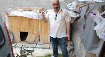 Adana'da bisikletli hırsızdan kedi maması çalma anı kamerada