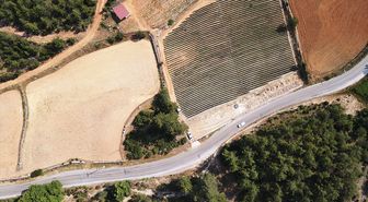 Muğla'da çilek üretim alanı 3,5 kat arttı