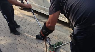 İnegöl'de Park Halindeki Minibüsün Motoruna Giren Yılan İtfaiye Tarafından Kurtarıldı