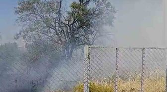Siirt'te bahçe yangını: meyve ağaçları kül oldu