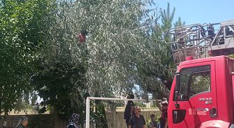 Şarkışla'da Ağaçta Mahsur Kalan Otizmli Kız Kurtarıldı