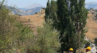 Alanya'da otluk yangını kontrol altında