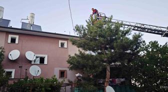 Erzincan'da çatıda mahsur kalan kedi itfaiye tarafından kurtarıldı