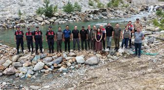 Güzellikleriyle büyülüyorlar: Tam 30 bini doğaya salındı