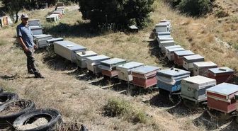 Burdur'da Arıcılık Desteklemeleri İçin Arılı Kovan Tespit Çalışmaları Sürüyor
