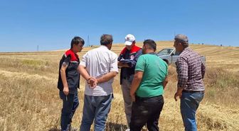Burdur'da Hububat Hasadında Biçerdöver Denetimleri Sürüyor