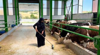 Gediz'de KKYDP 16. Etap Kapsamında Büyükbaş Besi İşletmesi Üretime Başladı