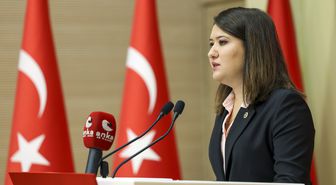 YENİ Partili Gökçen, Gezi tutuklularının gerekçesiz sevkini Meclis gündemine taşıdı