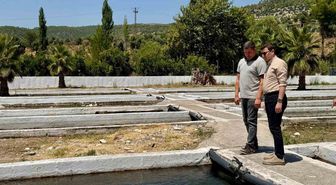 Bozdoğan Kaymakamı Sözen'den Kurum ve İşletme Ziyaretleri