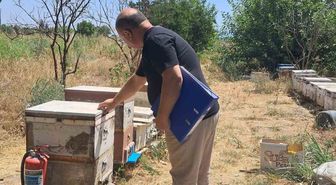 Köşk'te 2026 Arılı Kovan Desteklemesi İçin Tespit Çalışmaları Sürüyor