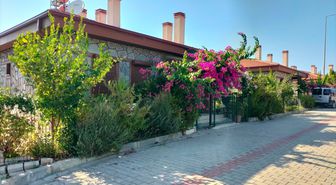 Manavgat beş yılda yeniden yeşerdi