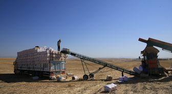 Saman yükleyen işçilerin kavurucu sıcakla mücadelesi