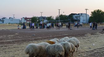 Mardin'de Köylüler Kendi İmkanlarıyla Kurdukları Toprak Sahada Voleybol Oynuyor