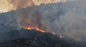 Antalya'daki orman yangınına müdahale sürüyor