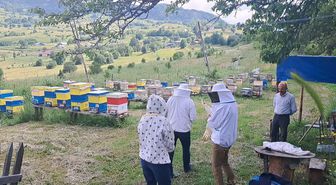 Artvinli bal üreticileri: 'Şavşat balı dünya kalitesinde ancak marka değeri yok'