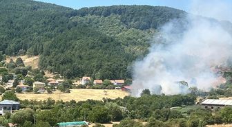 Aydın Kuyucak'ta zeytinlik alanda çıkan yangın kontrol altına alındı