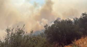 Çanakkale'de arazi yangını