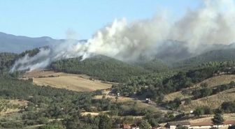 Çanakkale'de, Bayramiç’te de orman yangını çıktı