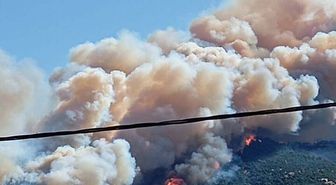 Çanakkale'de orman yangını