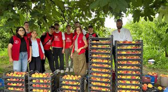 Çarşamba’da ‘Gönüllü Hasat Etkinliği’