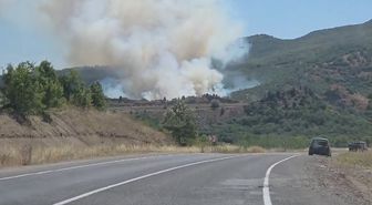 Domaniç’te tarlada başlayan yangın ormana sıçradı