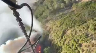 Gömeç'te ağaçlık alanda yangın