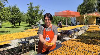 Iğdırlı kadınlar, kayısıyı güneşte kurutup ekonomiye kazandırıyor
