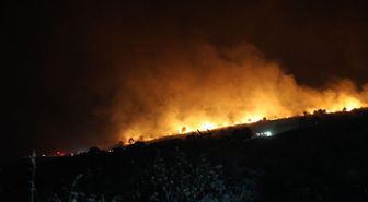 İzmir’de maki yangını