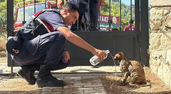Kumluca'da orman yangını