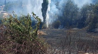 Kuyucak’ta ziraat alanındaki yangın ormana ulaşmadan söndürüldü