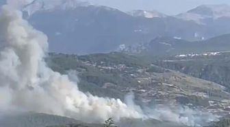 Muğla'da orman yangını