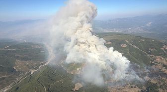 Muğla'nın Seydikemer ilçesinde orman yangını çıktı