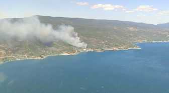 Yalova'da çıkan orman yangınına müdahale ediliyor