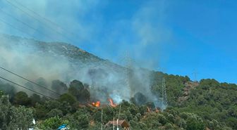 Yalova’da orman yangını