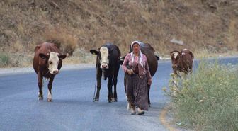 Alevlerden kaçtılar, hayvanlarını ve kendi canlarını zor kurtardılar