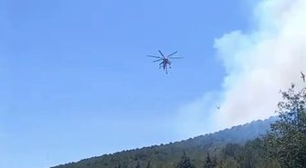 Balıkesir’de bir orman yangını daha