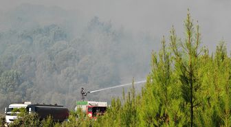 Balıkesir Gömeç'teki yangın 2'nci gününde