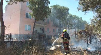 Burhaniye’de zeytinliğe sıçrayan ot yangını polis merkezinde korkuya neden oldu