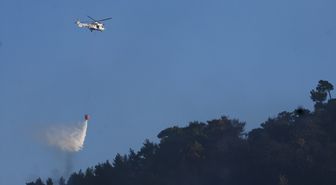 Çanakkale Ayvacık'taki orman yangınına müdahale sürüyor